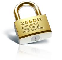Muchos dominios comenzaron a usar SSL en 2013